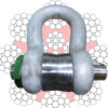 Load Shackles up to 2000t